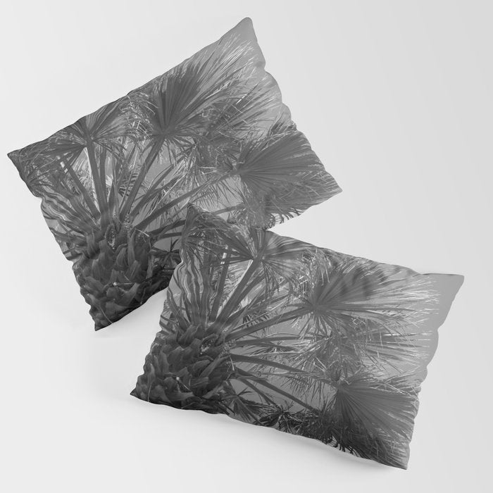 Black and white palm tree in Spain - summer nature and travel photography.  Pillow Sham Gallery Image 1