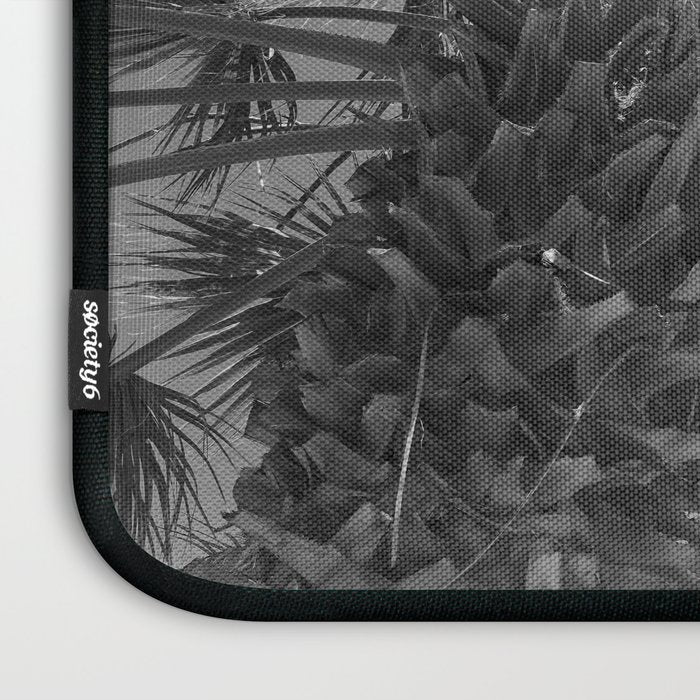 Black and white palm tree in Spain - summer nature and travel photography.  Laptop Sleeve Gallery Image 3