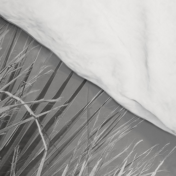 Black and white palm tree in Spain - summer nature and travel photography.  Comforter Gallery Image 4
