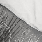 Black and white palm tree in Spain - summer nature and travel photography.  Comforter Gallery Image 4