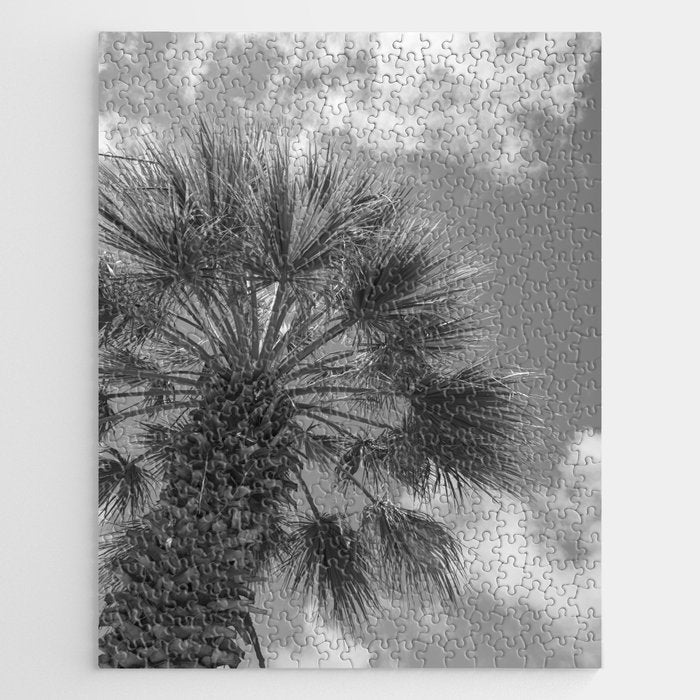 Black and white palm tree in Spain - summer nature and travel photography.  Jigsaw Puzzle Gallery Image 1