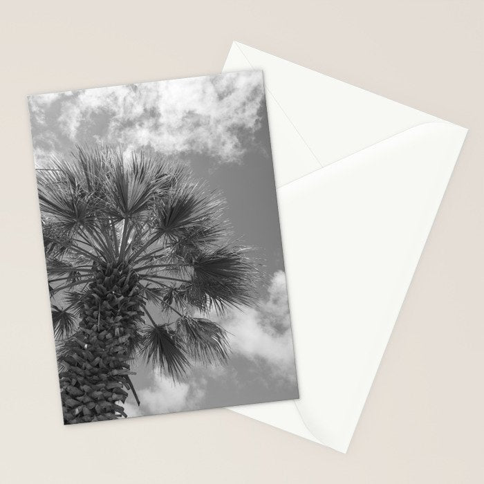 Black and white palm tree in Spain - summer nature and travel photography.  Stationery Card Gallery Image 2