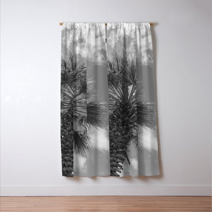 Black and white palm tree in Spain - summer nature and travel photography.  Window Curtain Gallery Image 3