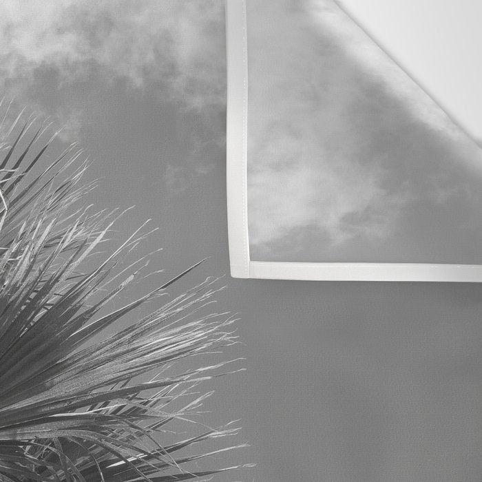 Black and white palm tree in Spain - summer nature and travel photography.  Wall Tapestry Gallery Image 3