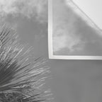 Black and white palm tree in Spain - summer nature and travel photography.  Wall Tapestry Gallery Image 3