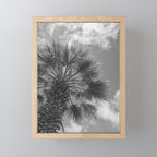Black and white palm tree in Spain - summer nature and travel photography.  Mini Art Print Gallery Image 1