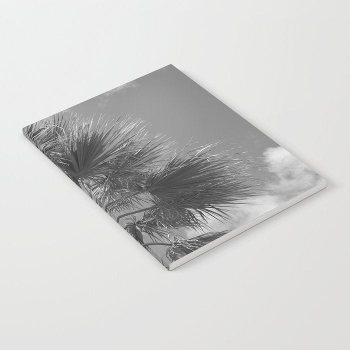 Black and white palm tree in Spain - summer nature and travel photography.  Notebook Gallery Image 1