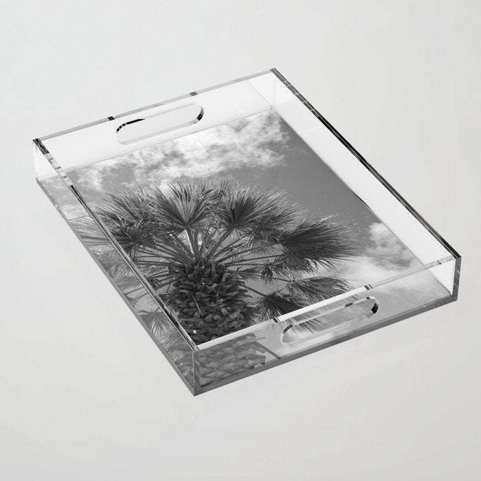 Black and white palm tree in Spain - summer nature and travel photography.  Acrylic Tray Gallery Image 1