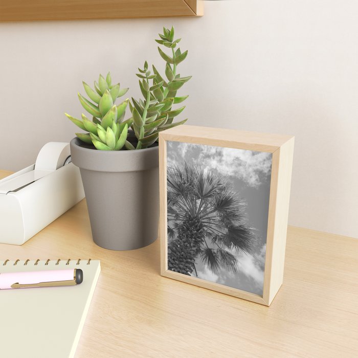 Black and white palm tree in Spain - summer nature and travel photography.  Mini Art Print Gallery Image 2