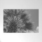 Black and white palm tree in Spain - summer nature and travel photography.  Welcome Mat Gallery Image 1