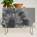 Black and white palm tree in Spain - summer nature and travel photography.  Credenza Gallery Image 1