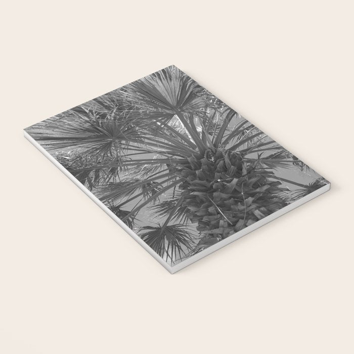 Black and white palm tree in Spain - summer nature and travel photography.  Notebook Gallery Image 3