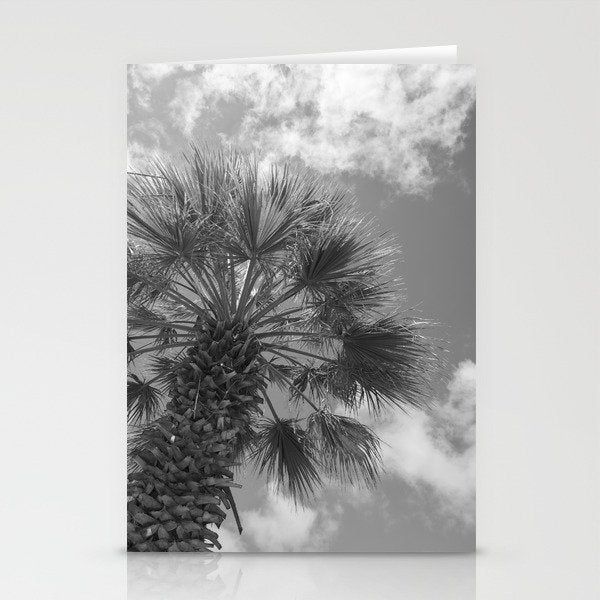 Black and white palm tree in Spain - summer nature and travel photography.  Stationery Card Gallery Image 1