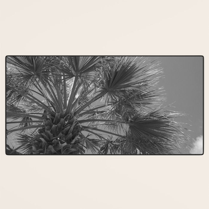 Black and white palm tree in Spain - summer nature and travel photography.  Desk Mat Gallery Image 3