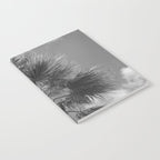 Black and white palm tree in Spain - summer nature and travel photography.  Notebook Gallery Image 2