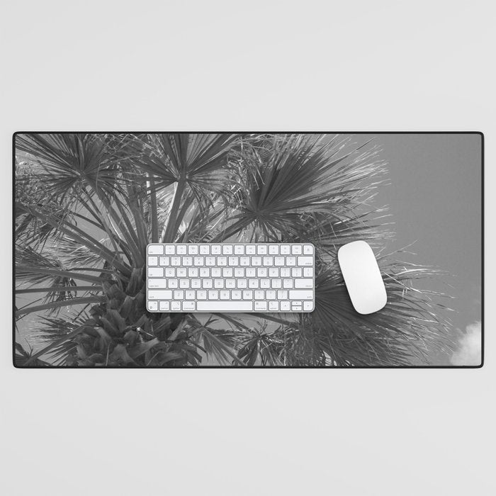 Black and white palm tree in Spain - summer nature and travel photography.  Desk Mat Gallery Image 1