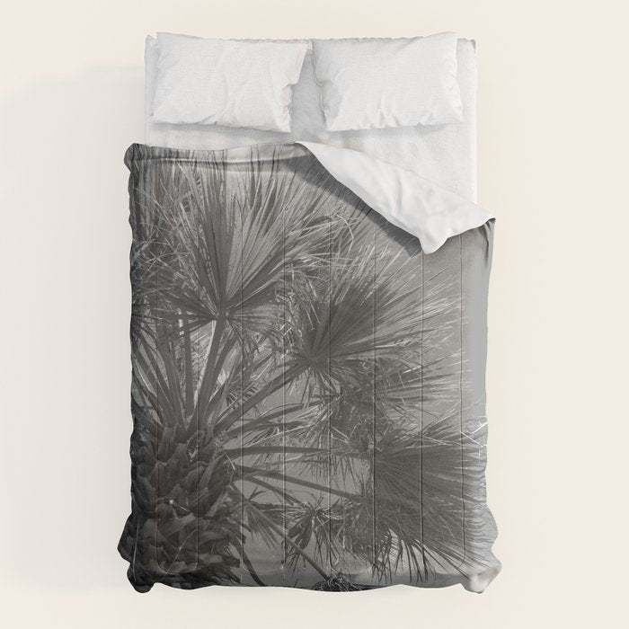 Black and white palm tree in Spain - summer nature and travel photography.  Comforter Gallery Image 6