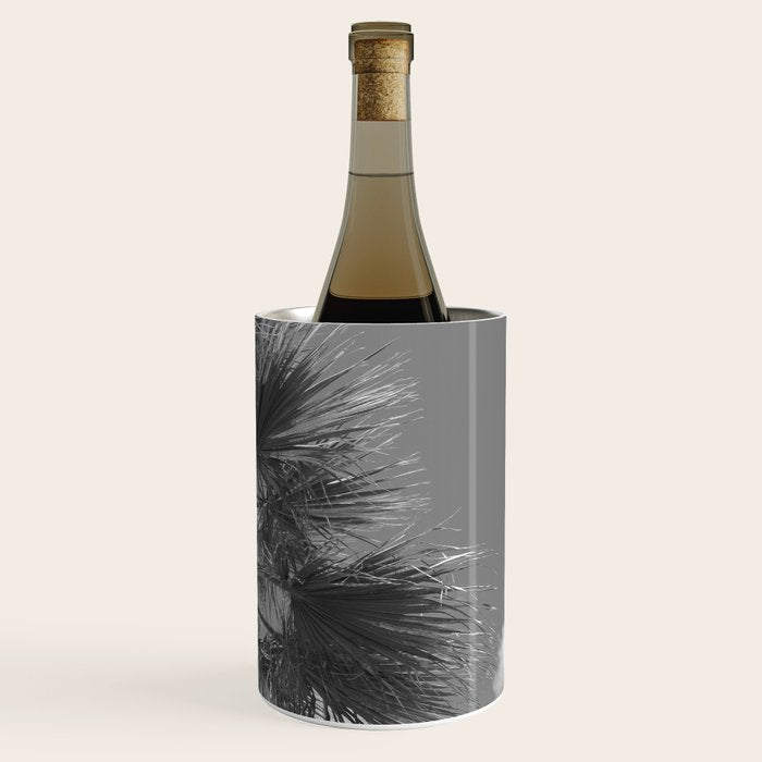 Black and white palm tree in Spain - summer nature and travel photography.  Wine Chiller Gallery Image 3
