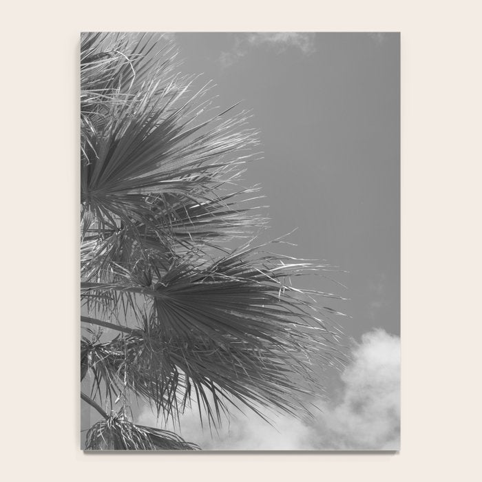 Black and white palm tree in Spain - summer nature and travel photography.  Notebook Gallery Image 4