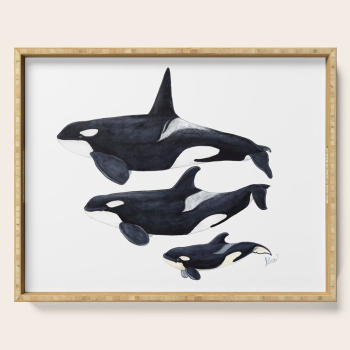 Orca (Orcinus orca) Serving Tray Gallery Image 1