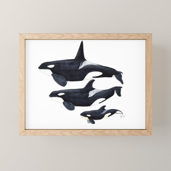 Orca (Orcinus orca) Mini Art Print Gallery Image 1