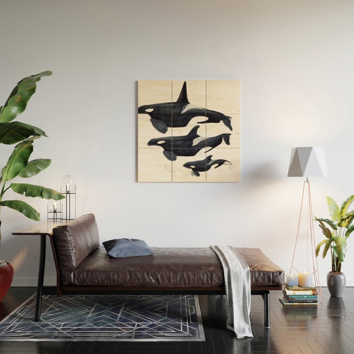 Orca (Orcinus orca) Wood Wall Art Gallery Image 2
