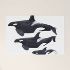 Orca (Orcinus orca) Welcome Mat Gallery Image 1