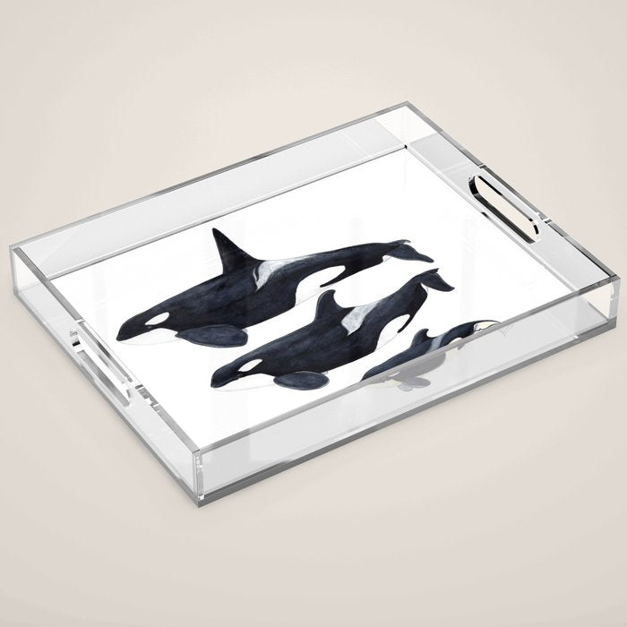Orca (Orcinus orca) Acrylic Tray Gallery Image 1