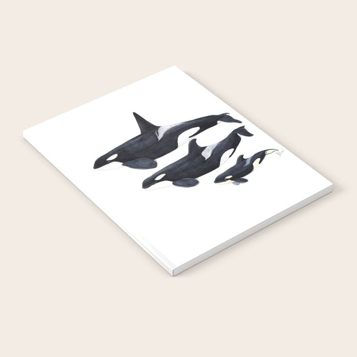 Orca (Orcinus orca) Notebook Gallery Image 2