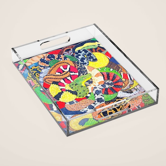 Snakes Acrylic Tray Gallery Image 1