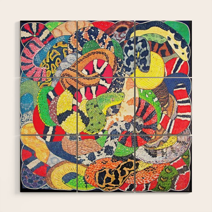 Snakes Wood Wall Art Gallery Image 1
