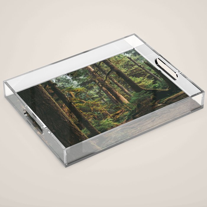 Woodland Landscape II Acrylic Tray Gallery Image 1
