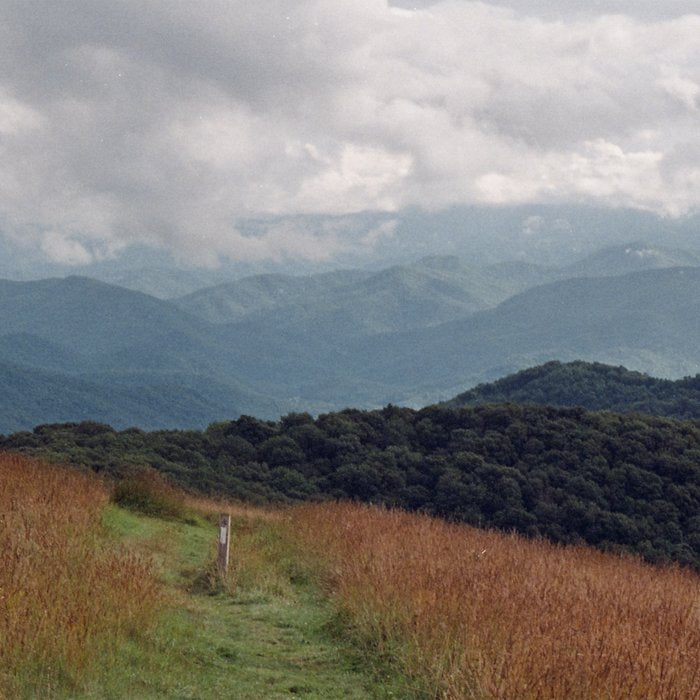 Max Patch Coffee Mug Gallery Image 2