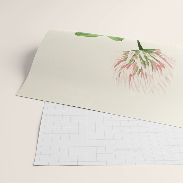 Soft Field Harmony Wrapping Paper Gallery Image 2