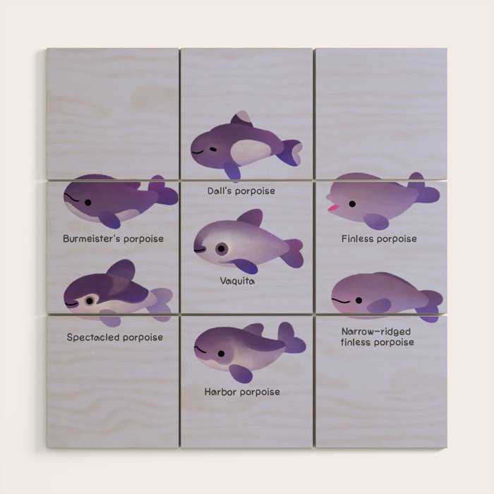 Porpoise Day Wood Wall Art Gallery Image 1