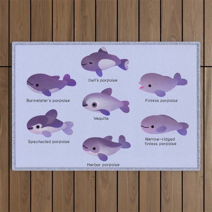 Porpoise Day Outdoor Rug Gallery Image 1