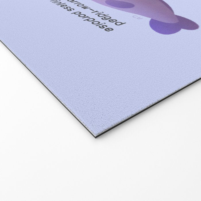 Porpoise Day Welcome Mat Gallery Image 2