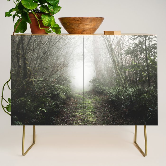 Pacific Northwest Trails - 121/365 Nature Photography Credenza Gallery Image 1