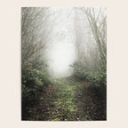 Pacific Northwest Trails - 121/365 Nature Photography Poster Gallery Image 4