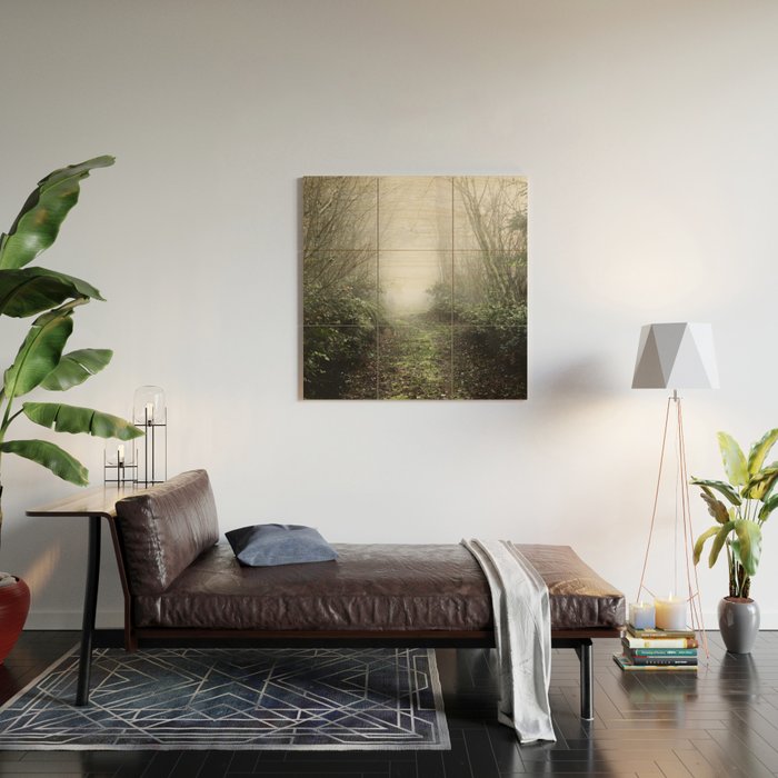 Pacific Northwest Trails - 121/365 Nature Photography Wood Wall Art Gallery Image 2