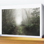 Pacific Northwest Trails - 121/365 Nature Photography Wall Mural Gallery Image 2