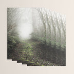 Pacific Northwest Trails - 121/365 Nature Photography Wrapping Paper Gallery Image 3