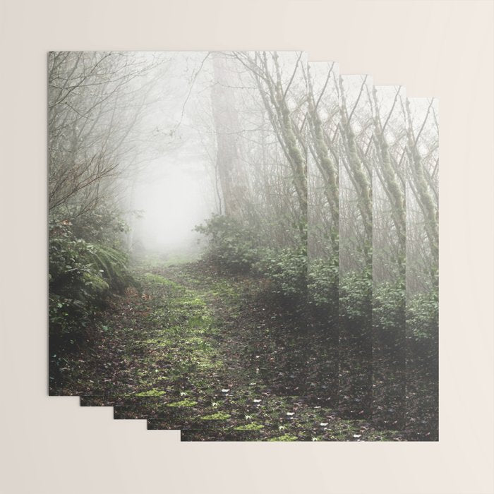 Pacific Northwest Trails - 121/365 Nature Photography Wrapping Paper Gallery Image 3