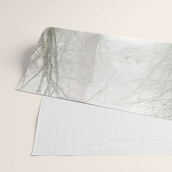 Pacific Northwest Trails - 121/365 Nature Photography Wrapping Paper Gallery Image 2