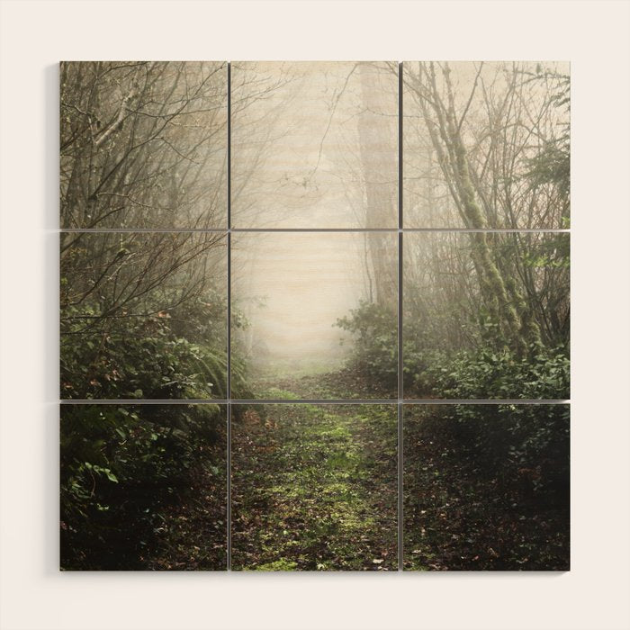 Pacific Northwest Trails - 121/365 Nature Photography Wood Wall Art Gallery Image 1