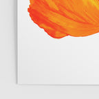 Orange and Yellow Poppies On A White Background #decor #society6 #buyart Poster Gallery Image 3