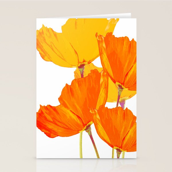 Orange and Yellow Poppies On A White Background #decor #society6 #buyart Stationery Card Gallery Image 1
