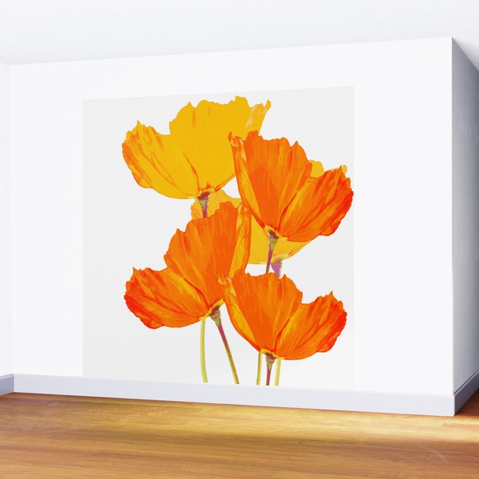 Orange and Yellow Poppies On A White Background #decor #society6 #buyart Wall Mural Gallery Image 2