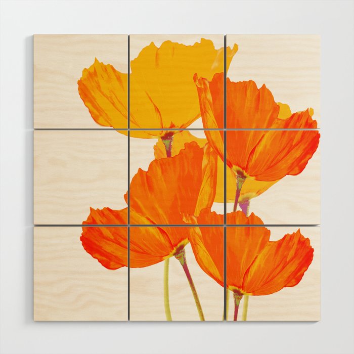 Orange and Yellow Poppies On A White Background #decor #society6 #buyart Wood Wall Art Gallery Image 1