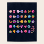 Coral (Anthozoa) Poster Gallery Image 4